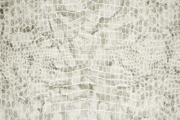 Natural crocodile leather, close-up, isolated background for design