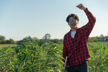 Asian men use laptop check tapioca fram. new technology agriculture. cassava plantation. cassava stalk on blue Sky background.