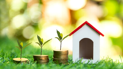 Fototapeta na wymiar Investor of real estate. The plants growing on money coin stack for investment home.  Investment mortgage fund finance and interest rate home loan, green nature background Investment Concept