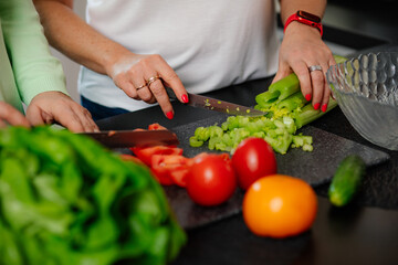 Two woman cook healthy dinner fresh vegateble at light kitchen. Female hands cut tomato and cucumber at chopping board.
