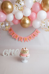 Cake smash first birthday cake pink girl