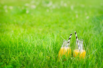 Background, bottles with juice on green grass