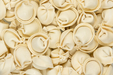 Frozen dumplings background texture