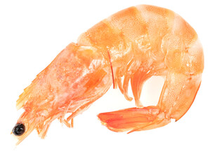 Unpeeled fresh shrimp isolated on a white background. close-up