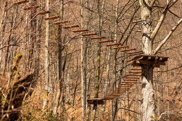Rope park in the middle of the forest.Passing sports obstacles above the ground.Outdoor...