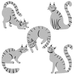 Five illustrated grey cats in different poses