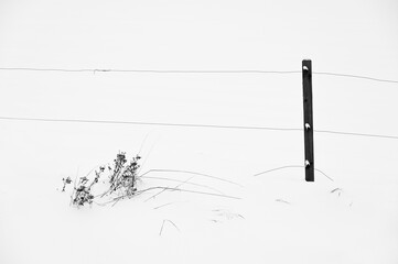 Fragment ogrodzenia na tle śniegu.