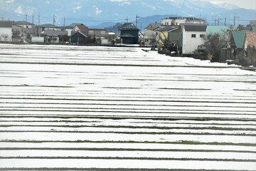 雪景色畑滋賀県田舎