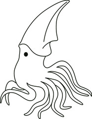 Line vector illustration, sea life, coloring book, squid, animals, fish