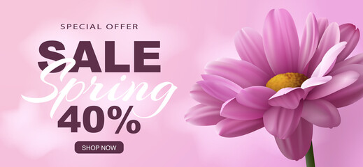 Special offer Spring sale banner with realistic pink chrysanthemum flower on a pink background and advertising discount text decoration. Vector illustration. - obrazy, fototapety, plakaty