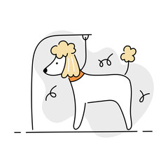 Dog poodle on grooming table. Pet grooming salon icon design. Doodle line style vector illustration.