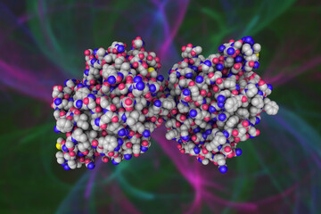 Space-filling molecular model of human gastric lipase, an acidic lipase secreted by gastric chief cells in the gastric fundus mucosa. Rendering based on protein data bank. 3d illustration