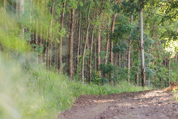 Obraz premium estradas