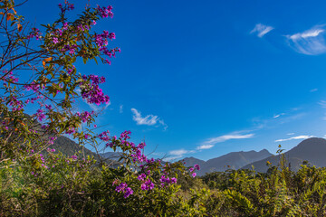 A landscape view of the plains, close to the shore at Ubatuba