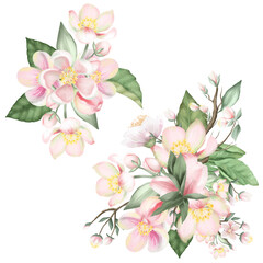 Set of blooming apple tree bouquets, hand drawn isolated illustration on white background