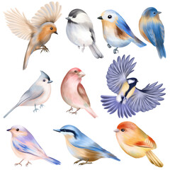 Set of hand drawn cute birds, isolated illustration on white background - 482622840