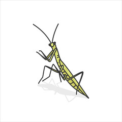 grasshopper solid poultry kawaii doodle flat vector illustration icon