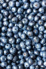 Background from blueberries. Close up. Healthy lifestyle.