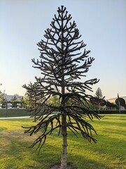 Views of the park 