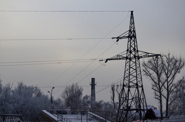 lines