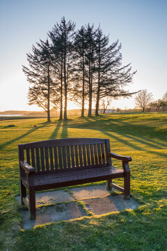 Public seating area at sunset in wooded field.