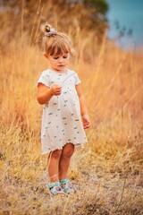 little girl in a field with a beautiful dress 