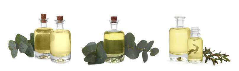 Set with eucalyptus essential oil on white background. Banner design