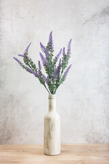Lavender flowers in a pot, on a light background