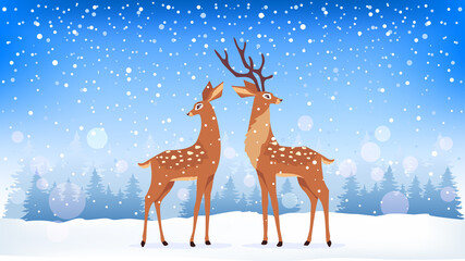 deer winter