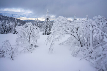 Snowy winter mountain landscape in the Western Tatras.