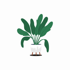 Plant in Vase Green Leaf
