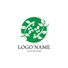 olive icon vector illustration design