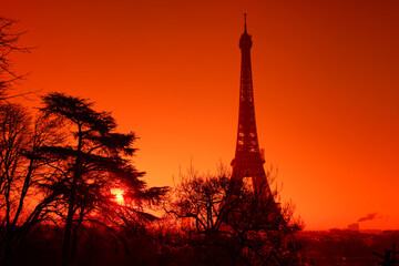 Fototapeta na wymiar Eiffel tower and Trocadero garden in winter season