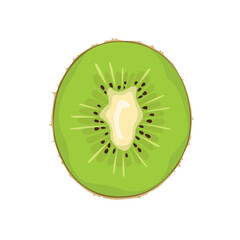 Kiwi fruit slice isolated on white background. Vector illustration of half a tropical fruit in cartoon flat style. Organic food icon.