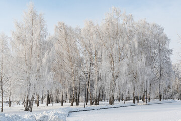 Beautiful city landscape in snowy winter 