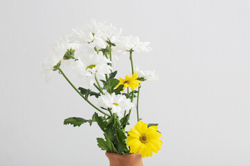 chrysanthemums flowers in ceramic vase on white background