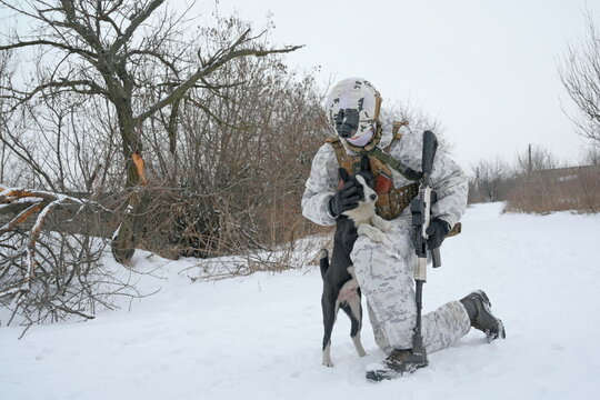 A service member of the Ukrainian armed forces strokes a dog at combat positions in Donetsk Region