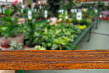 Wooden board on a background of blurred shop. Shop with plants and seedlings. Sharpness on the board. Place for product advertising. Free space for design and goods. Layout for products.