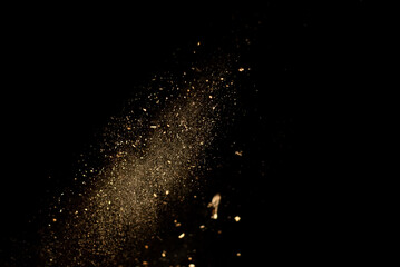 Fototapeta na wymiar Dust and wood chips on a black background. Dirt particles fly in the air. Layout for design. Some dust particles are blurred to transmit the effect of motion.