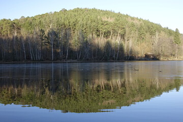 Amazing reflection of hill, fir trees and blue winter sky in clear Lake Gelterswoog in Palatinate Forest (Pfälzer Wald) (horizontal), Hohenecken, Kaiserslautern, Rhineland Palatinate, Germany
