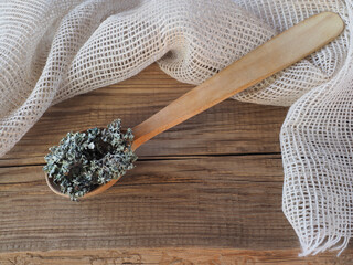 Medicinal herb moss lichen in a spoon, napkin on a wooden background, top view, flat layout. Useful plant parmelia sulcata for use in medicine, homeopathy and cosmetology