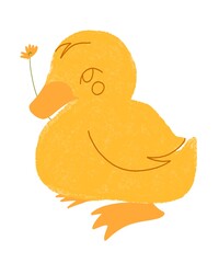 cute duck with yellow flower for cards