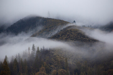 misty morning in the mountains