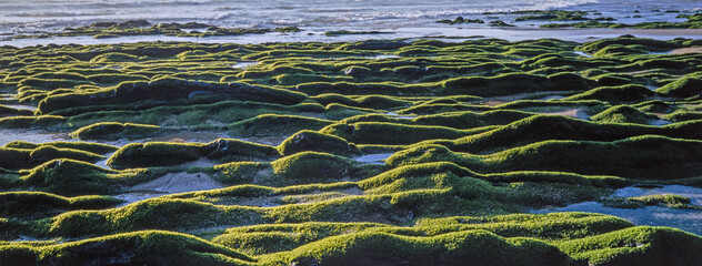 Rocks and alges at beach. Coast.. Aljezur. Portugal. Algarve. Panorama.
