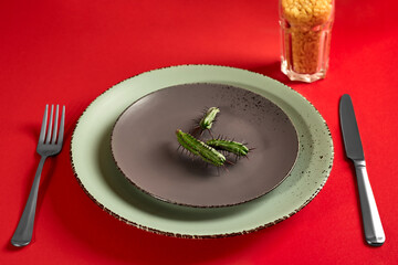 Cactus branches on a brown plate on a red background. The fork and knife are next to the plate. Raw pasta in a glass. The concept of proper nutrition