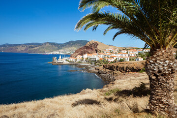 Quinta do Lorde, Ponta Das Gaivotas and palm, Madeira island