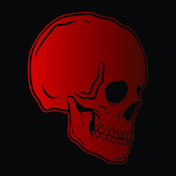 red skull hand-drawn style, premium vector
