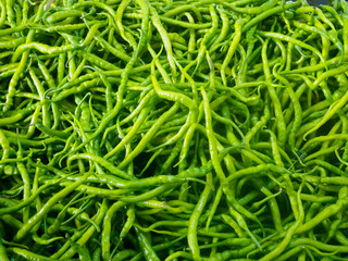 High angle green chili peppers shot with day light