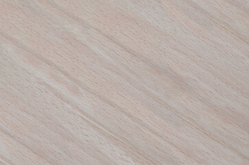 Wood texture. Lining boards wall. Wooden background. pattern. Showing growth rings