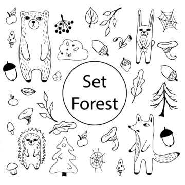 Set of vector images. Vector clipart on the forest theme. Forest animals and plants on a transparent background.